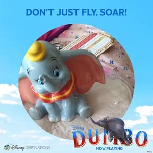 Meet your Posher, Molly